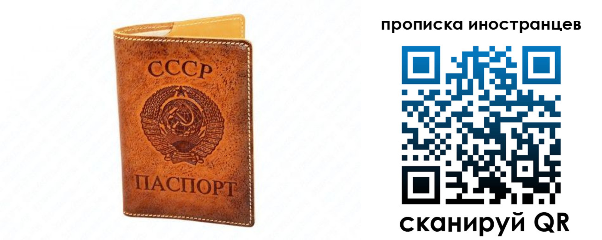 прописка для школы в Козловке